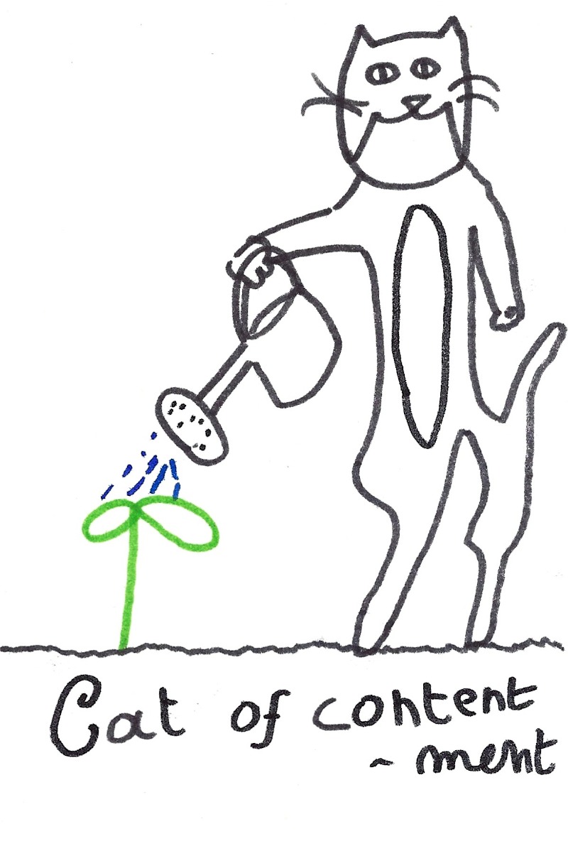 Cat of contentment - A jolly cat watering a small plant with two leaves