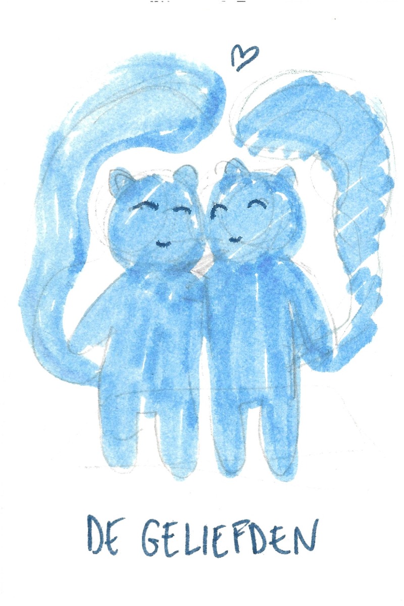 De geliefden - Two cats hugging