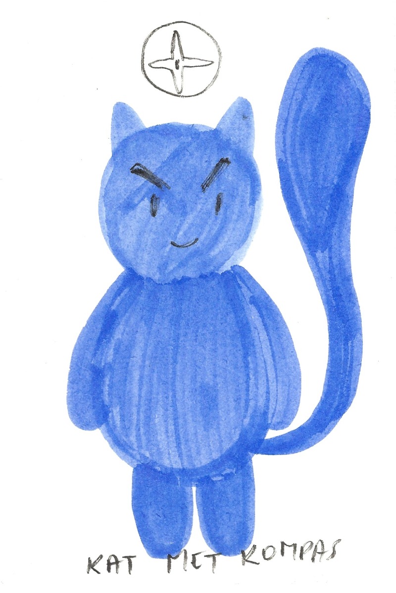 Kat met kompas - A cat with a compass