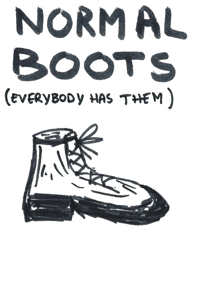 Normal boots (everybody has them) - An ancle boot with laces
