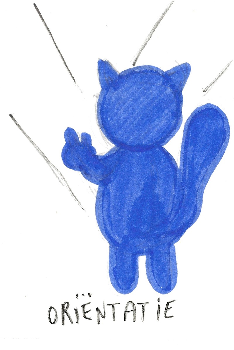 Oriëntatie - A cat at a Y split in a road pointing in one direction