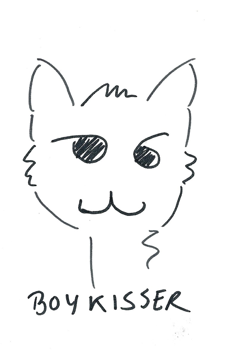 Boykisser - Cat (like the boykisser meme)