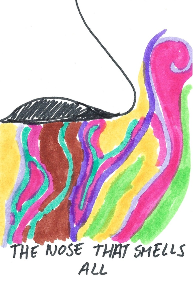 The nose that smells all - side profile of a nose above colourful scent lines